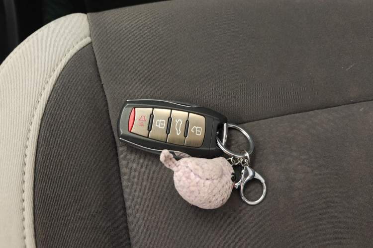 Used ORA White Cat 2020 305 km Luxury Version
