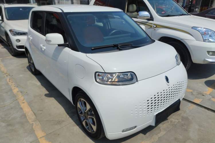 Used ORA White Cat 2020 305 km Luxury Version