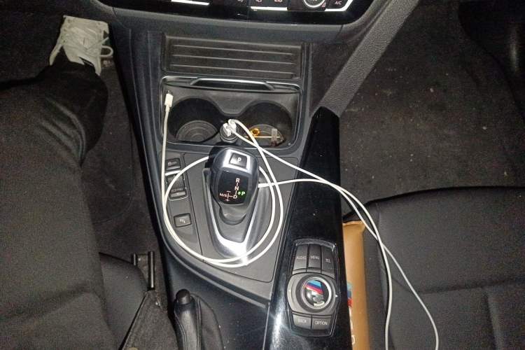 Used BMW 3 Series 2016 316Li Fashion Model
