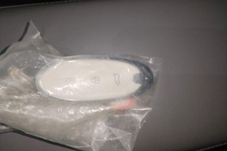 Used Dongfeng NAMMI 01 2024 430 Plus Smart+ Vehicle Key