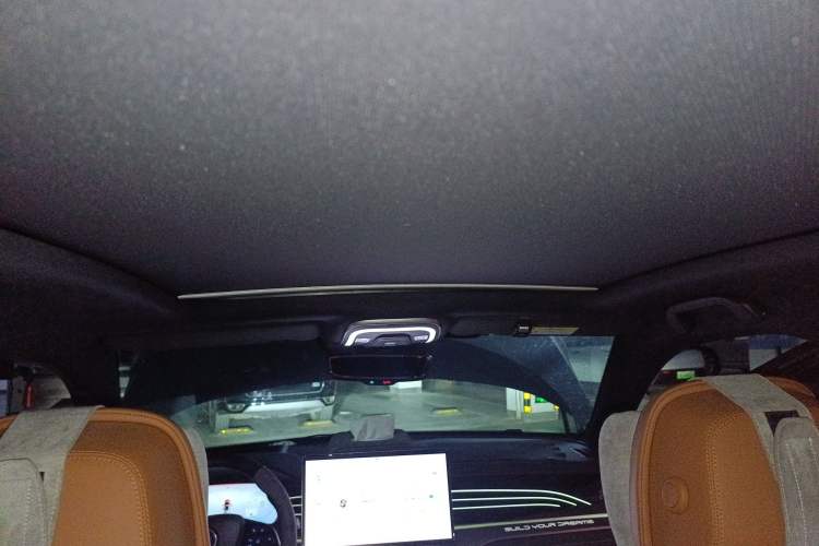 Used BYD Tang New Energy 2022 DM-p 215 km All-Wheel-Drive Deluxe Model Headliner