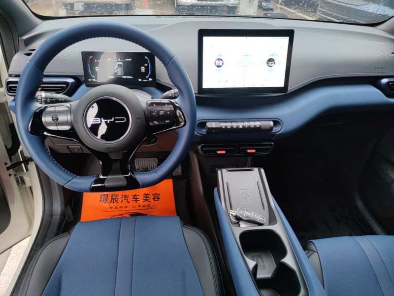 Used BYD Seagull 2023 Free Edition — 12