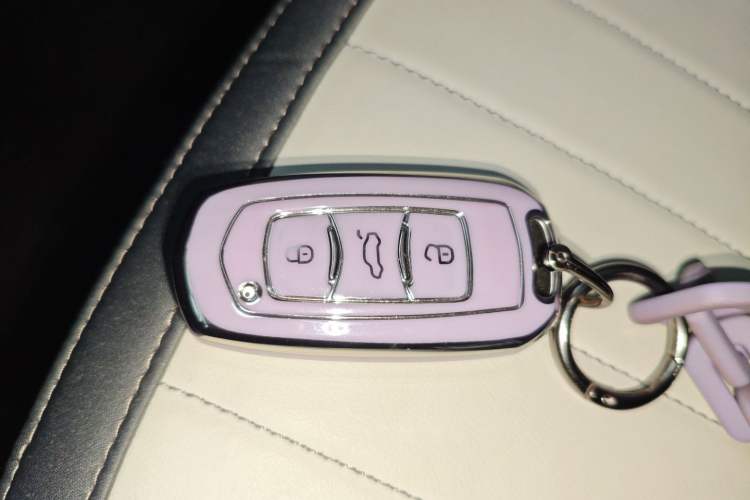 Used Geely Galaxy Panda 2025 210km Panda Kart
