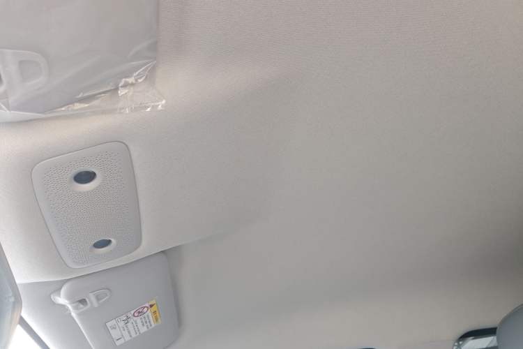 Used Leapmotor T03 2024 200 Lite Edition Headliner