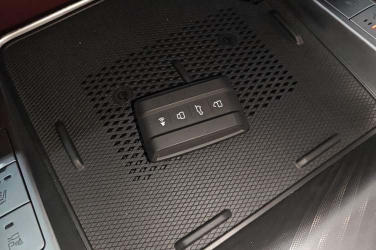 Used Tank 700 New Energy 2024 Hi4-T Extreme Edition Vehicle Key