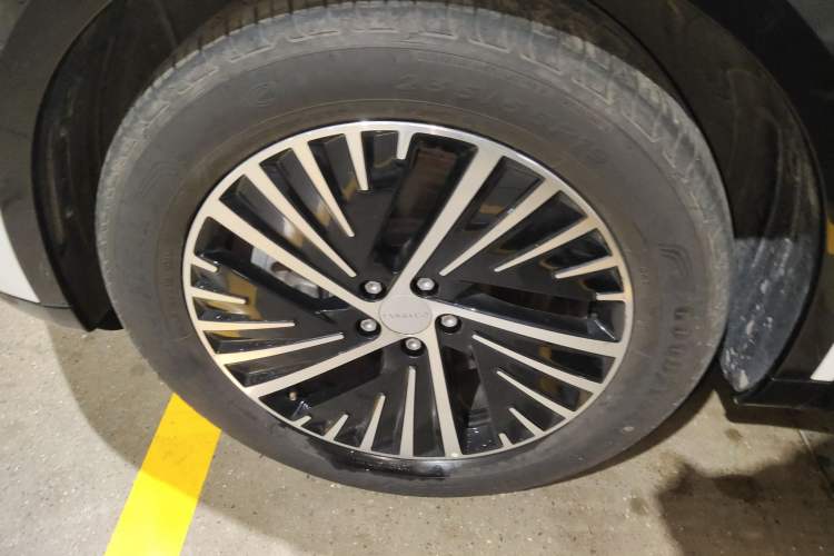 Used Lynk & Co 08 EM-P 2023 120km Long-Range Pro Exterior 4