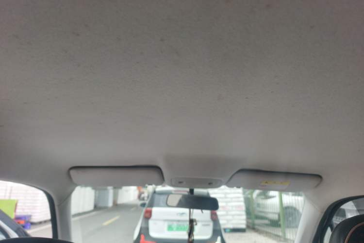 Used Leapmotor T03 2023 310 Lite Edition Headliner