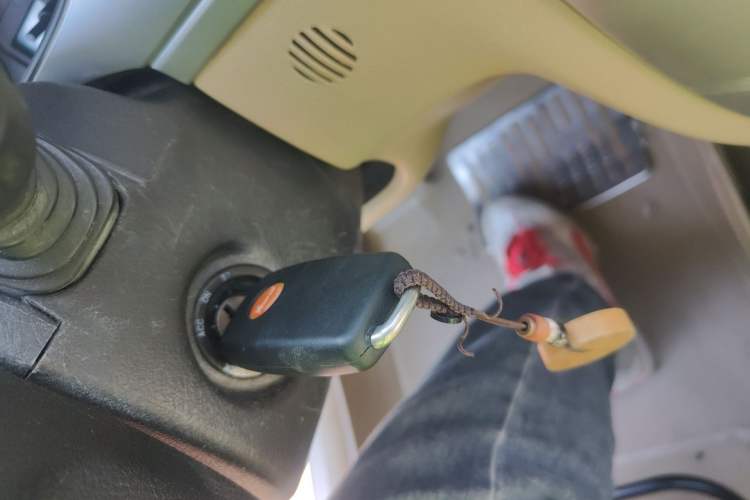 Used Buick Excelle 2011 1.6LX-AT Vehicle Key