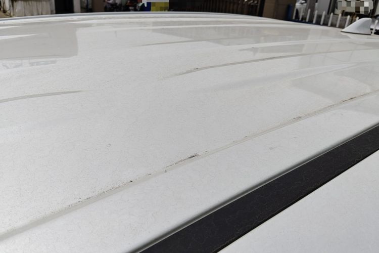 Used Toyota RAV4 2022 2.0L CVT Two-Wheel Drive Urban Edition
