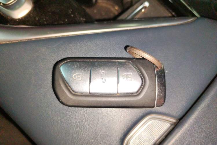 Used VOYAH FREE 2021 Four-Wheel Drive Standard Range-Extended Exclusive Luxury Package
