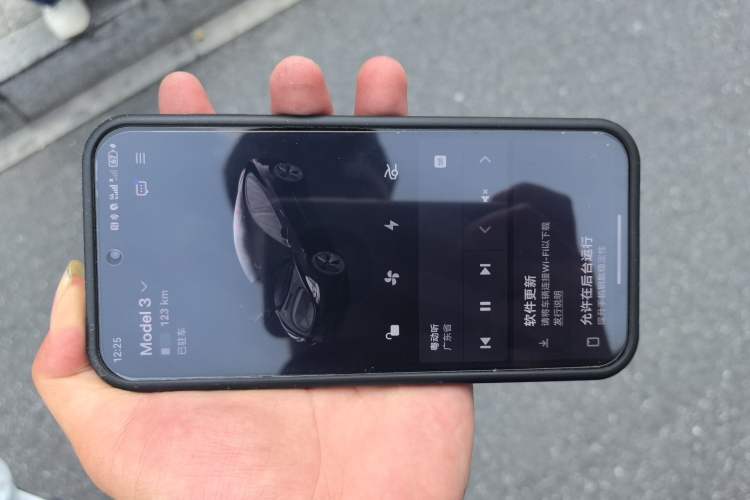 Used Tesla Model 3 2022 Rear-Wheel-Drive Version Vehicle Key