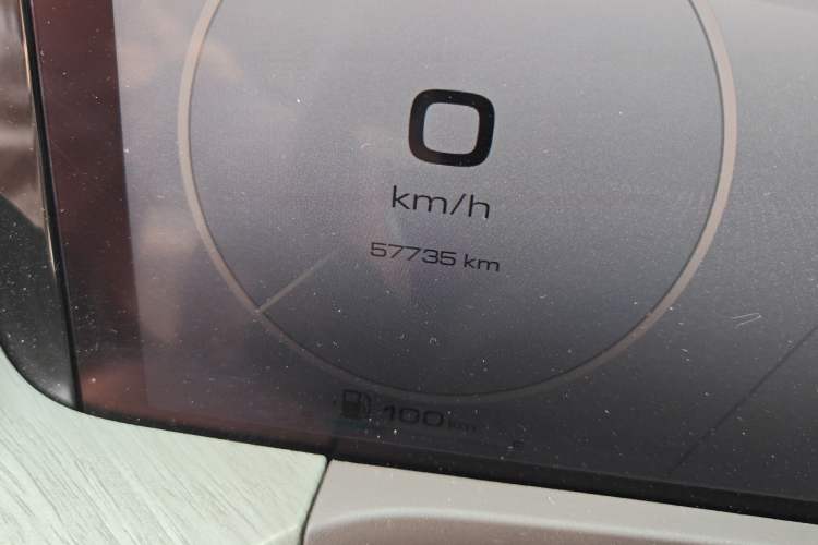 Used Tank 500 2022 3.0T Business Edition "Creation Realm" Design 5-Seater Odometer Close Up