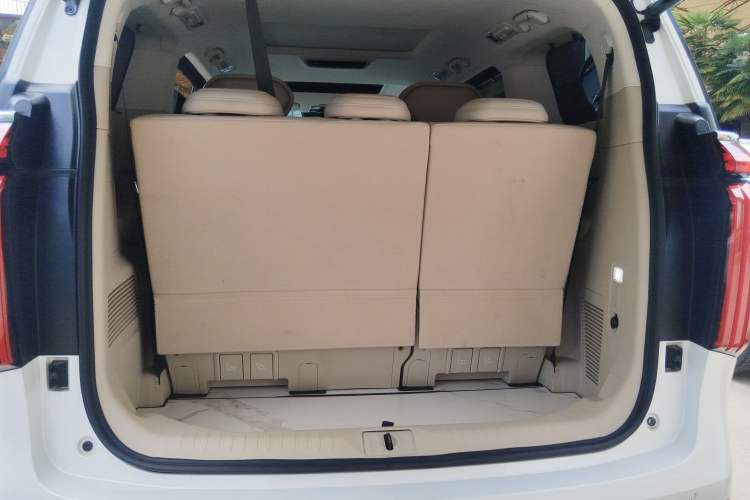 Used Wey Gaoshan 2023 Four-Wheel Drive Flagship Edition Trunk