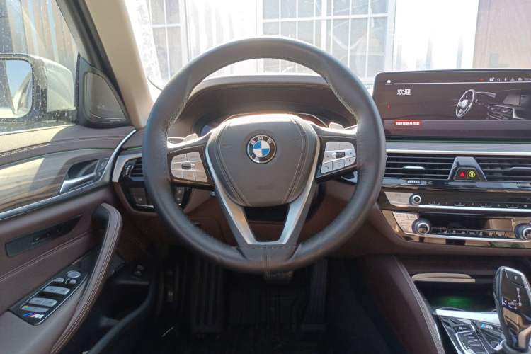 Used BMW 5 Series 2023 530Li Leading Edition Luxury Package Steering Wheel