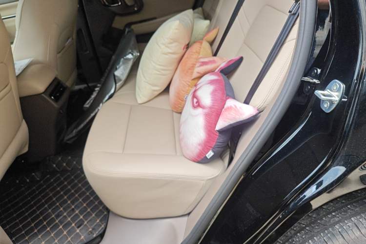 Used Haval H Dog 2026 Model 2.0T Trendy Wilderness Edition