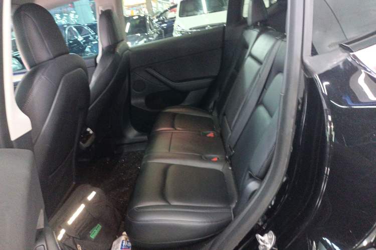 Used Tesla Model Y 2021 Standard Range Rear-Wheel Drive Version
