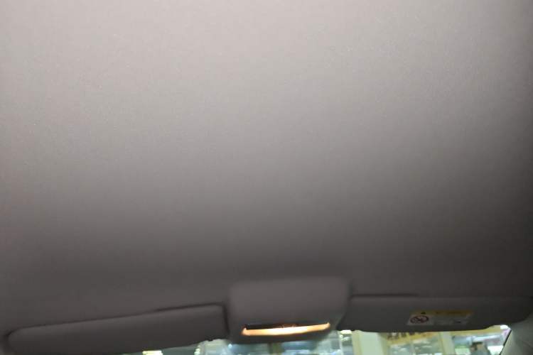 Used Volkswagen Polo 2018 1.5L Automatic Advanced Driving Model Headliner