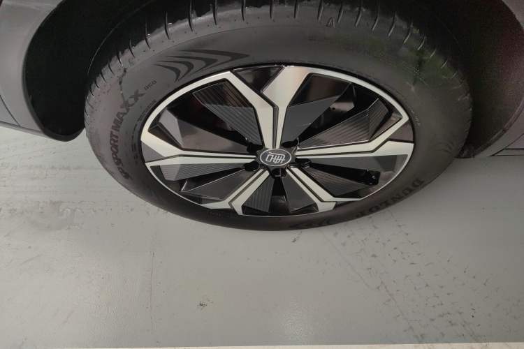 Used BYD Tang New Energy 2024 EV Champion Edition 600KM Deluxe Model
