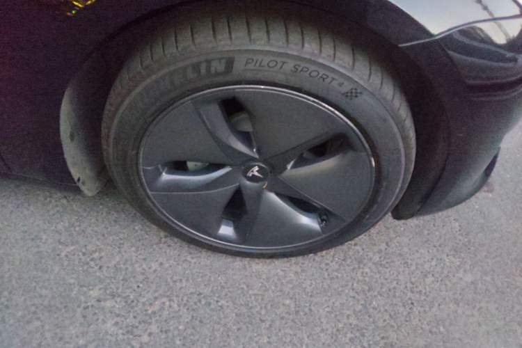 Used Tesla Model 3 2019 Long-Range All-Wheel-Drive Version
