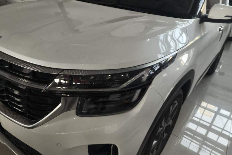 Used Kia Seltos 2023 1.5L CVT Luxury Edition