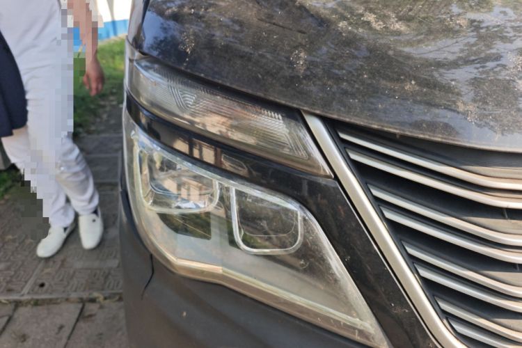 Used FORTHING Lingzhi 2019 V3 1.6L 2-Seat Standard Model China VI