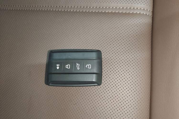 Used Tank 700 New Energy 2024 Hi4-T Extreme Edition Interior 1