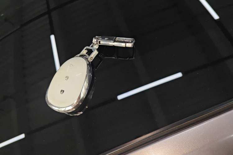 Used Qiyuan A07 2025 Range-Extended "True Fragrant" Edition 230 Flagship Model