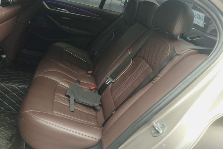 Used BMW 5 Series 2020 530Li Luxury Edition Premium Package