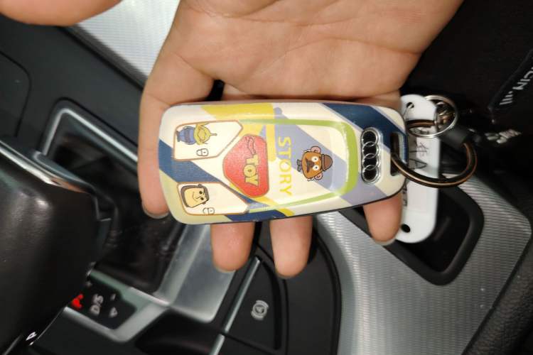 Used Audi A5 2017 Coupe 40 TFSI Fashion Model