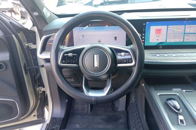 Used Wey Lanshan 2023 Two-Wheel Drive Long-Range Version