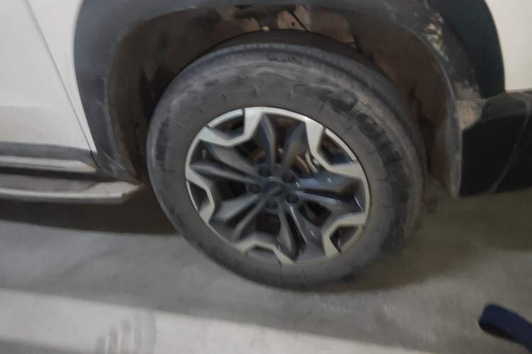 Used Haval DARGO 2021 2.0T DCT 4x4 Chinese Rural Dog Edition
