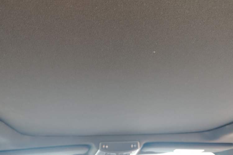 Used Ford F-150 Raptor 2019 3.5T Raptor Performance Enhanced Edition Headliner