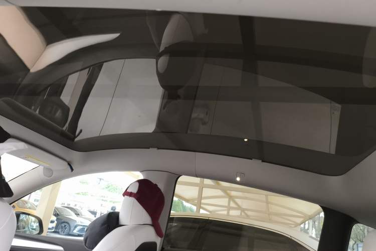 Used Tesla Model Y 2021 Long-Range All-Wheel-Drive Version Headliner