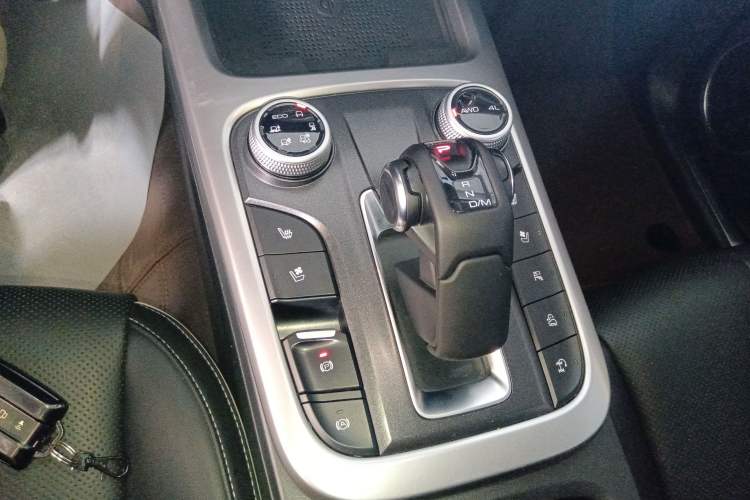 Used Tank 300 2024 2.0T Crosser
