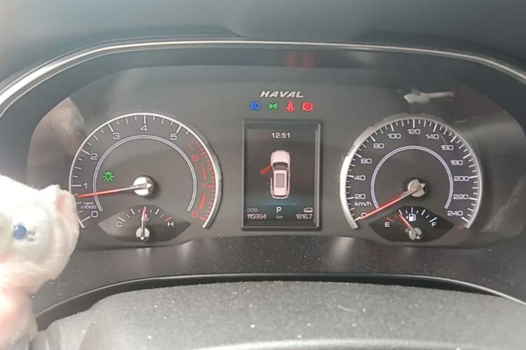 Used Haval H6 2017 Red Label 2.0T Automatic Two-Wheel Drive ZhiShang Model
