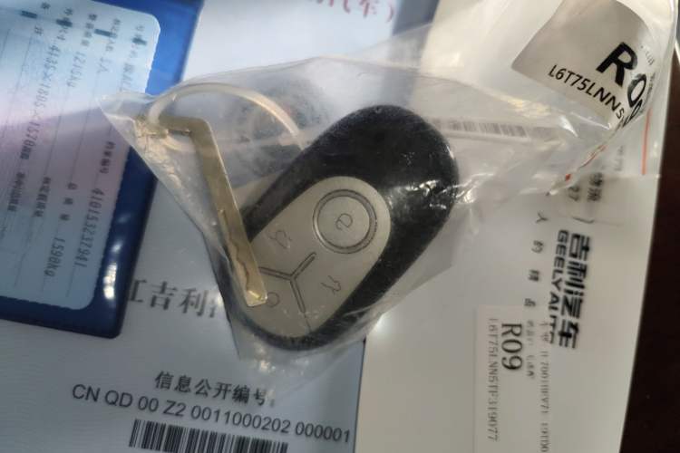 Used Geely Galaxy Geome 2026 Model 310km Youth Edition Vehicle Key