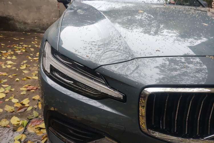 Used Volvo S60 2023 B4 Zhiyi Luxury Edition
