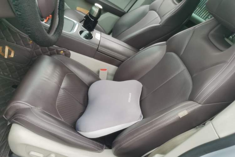 Used Leapmotor C11 2023 Pure Electric 500 Comfort Edition
