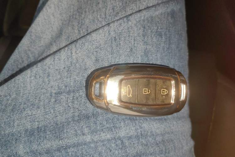 Used Hyundai Lafesta Electric 2020 GLX ZhiJie Edition