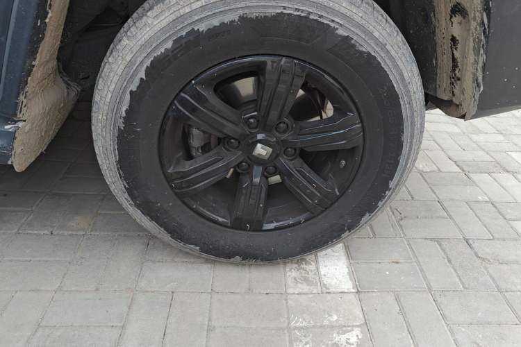 Used Tank 300 2023 Off-Road Edition 2.0T Conqueror
