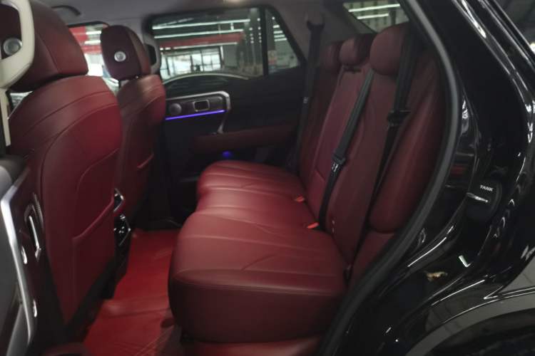 Used Tank 400 New Energy 2024 Hi4-T City Edition Left Rear Seat