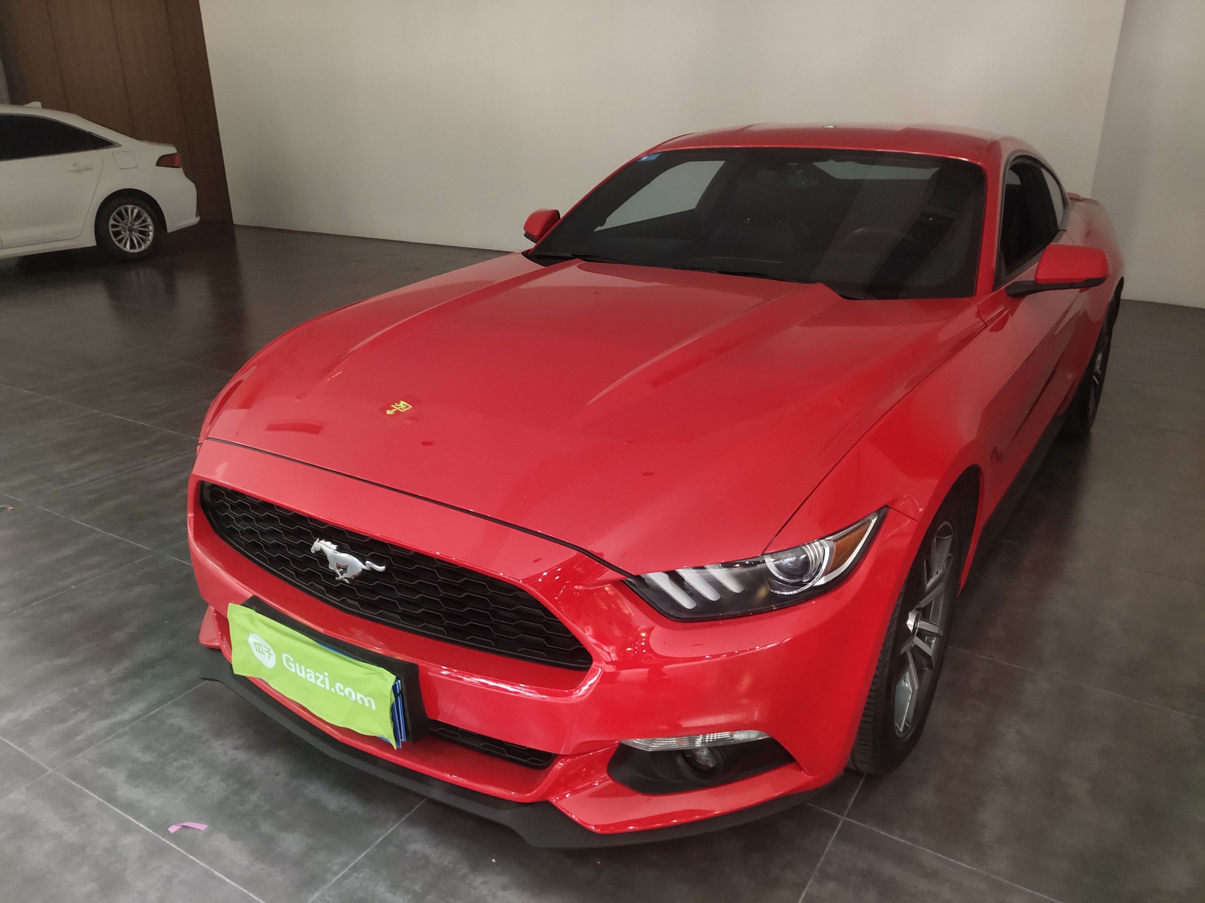 Under Front Bumper