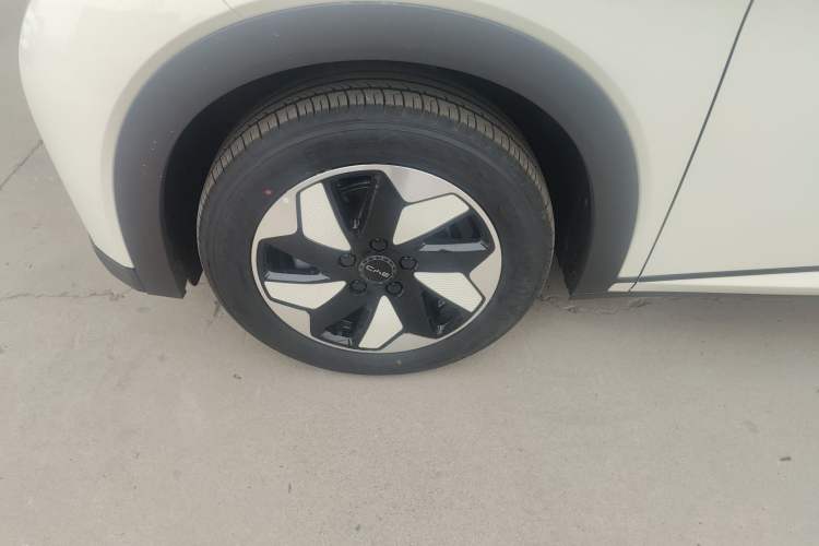 Used BYD Dolphin 2025 420km Free Edition