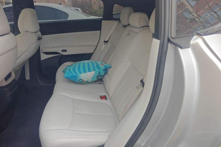 Used XPeng G6 2023 700 Four-Wheel Drive Performance Max