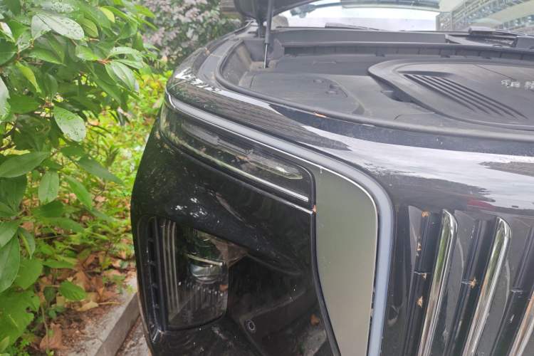 Used Hongqi E-HS9 2022 690 km Range Flagship Edition Six Seats Right Front Headlight