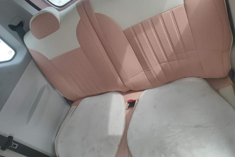 Used Livan Blue Balloon 2025 Model Dynamic Version Left Rear Seat