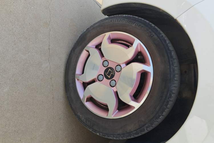 Used SOL E10X 2022 Flower Fairy Design Sunflower