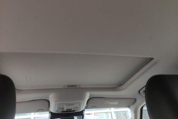 Used Tank 300 2021 Off-Road Edition 2.0T Conqueror Headliner