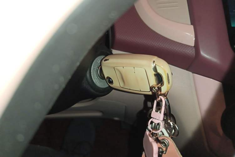 Used Oshan Benni E-Star 2021 National Edition Colorful Version Lithium Iron Phosphate (31.86 kWh)
