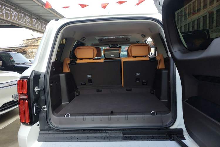 Used Tank 500 New Energy 2026 Model—Hi4-Z Smart Enjoyment Version